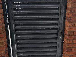 IMG_20190121_144631 IMG_20190121_144631